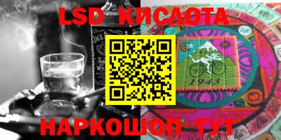 амф Владимир