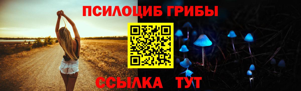 Гатчина  продажа наркотиков  Вход с VPN  Галлюциногенные грибы Psilocybine cubensis 