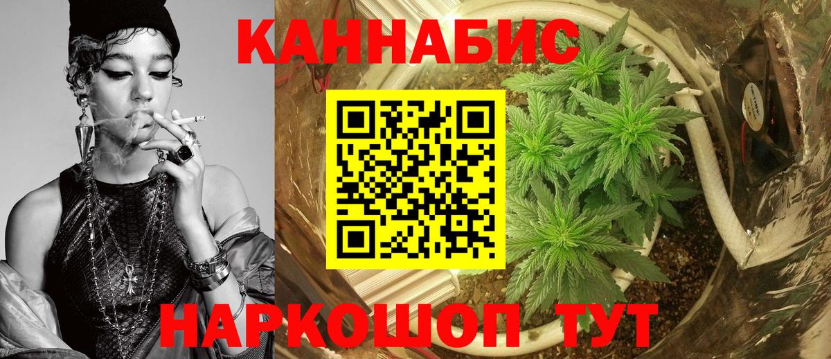 Гатчина  Бошки Шишки план  Вход с VPN  Марихуана Bruce Banner  Марихуана семена 
